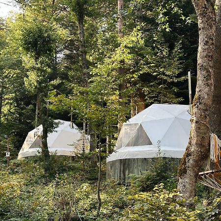 ホテル Ala Glamping Ilica  エクステリア 写真